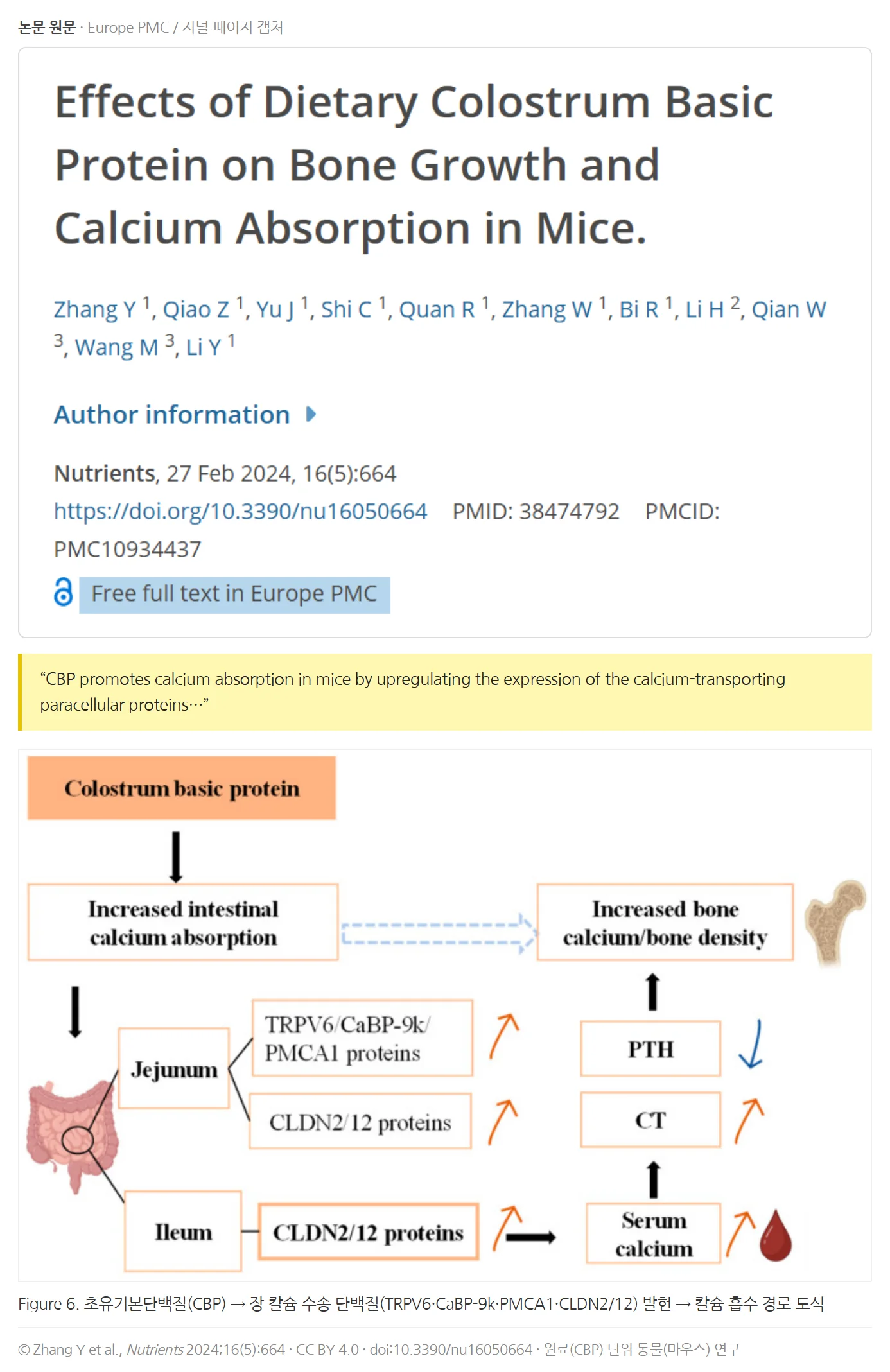 Zhang et al., Nutrients 2024 논문 원문 캡처