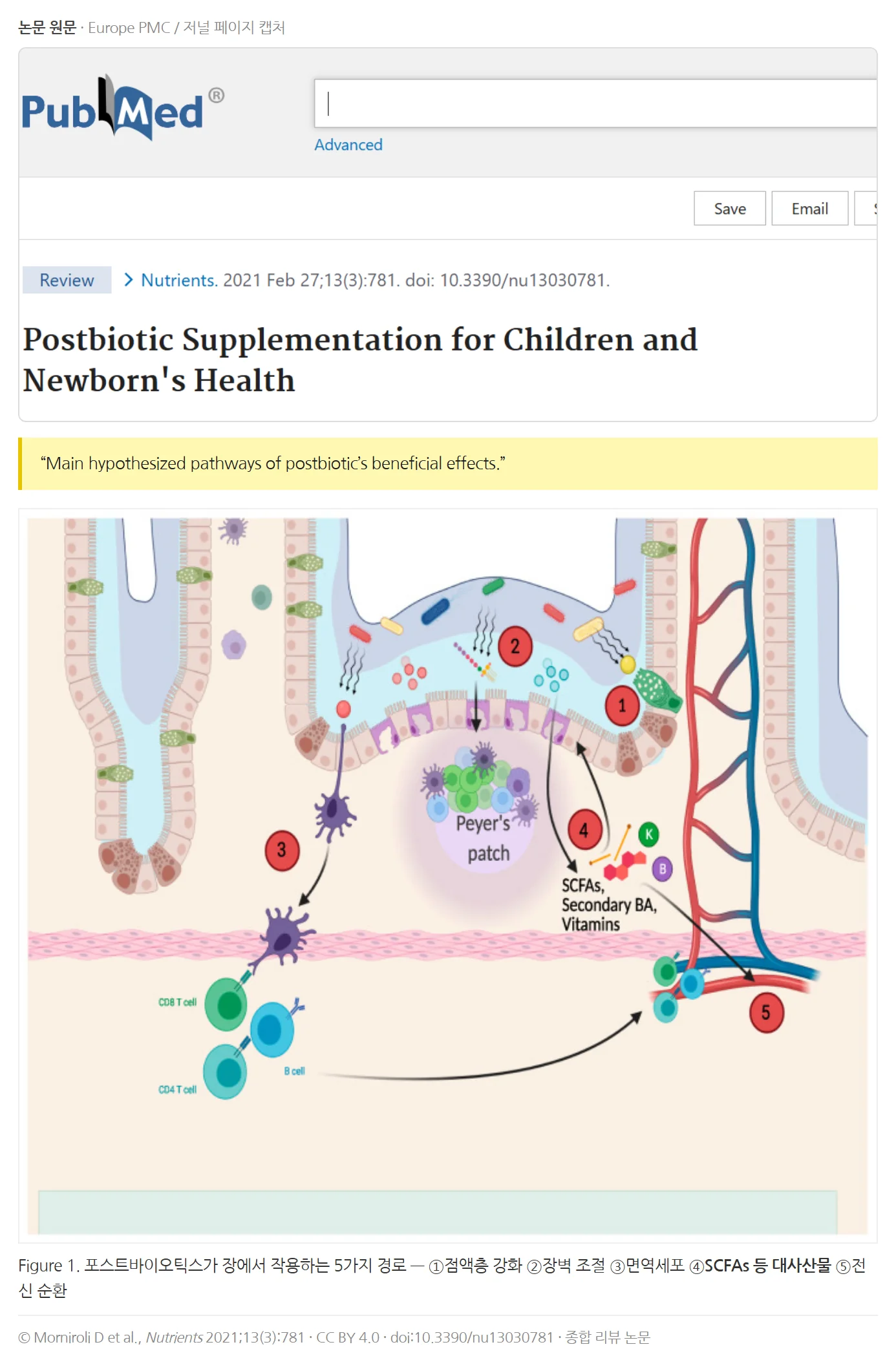 Morniroli et al., Nutrients 2021 — 포스트바이오틱스 5가지 작용 경로