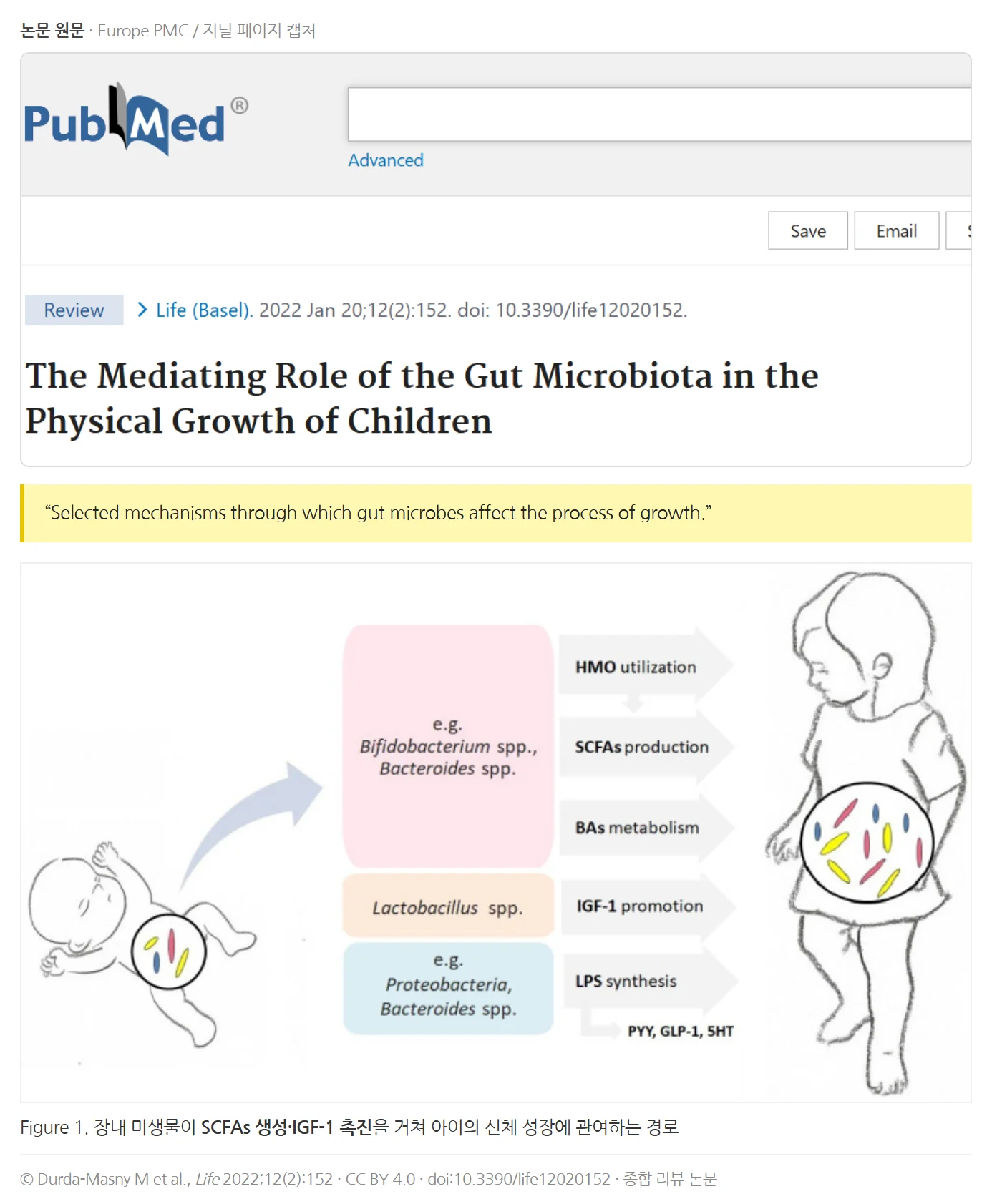 Durda-Masny et al., Life 2022 — 장내 미생물과 아이 성장